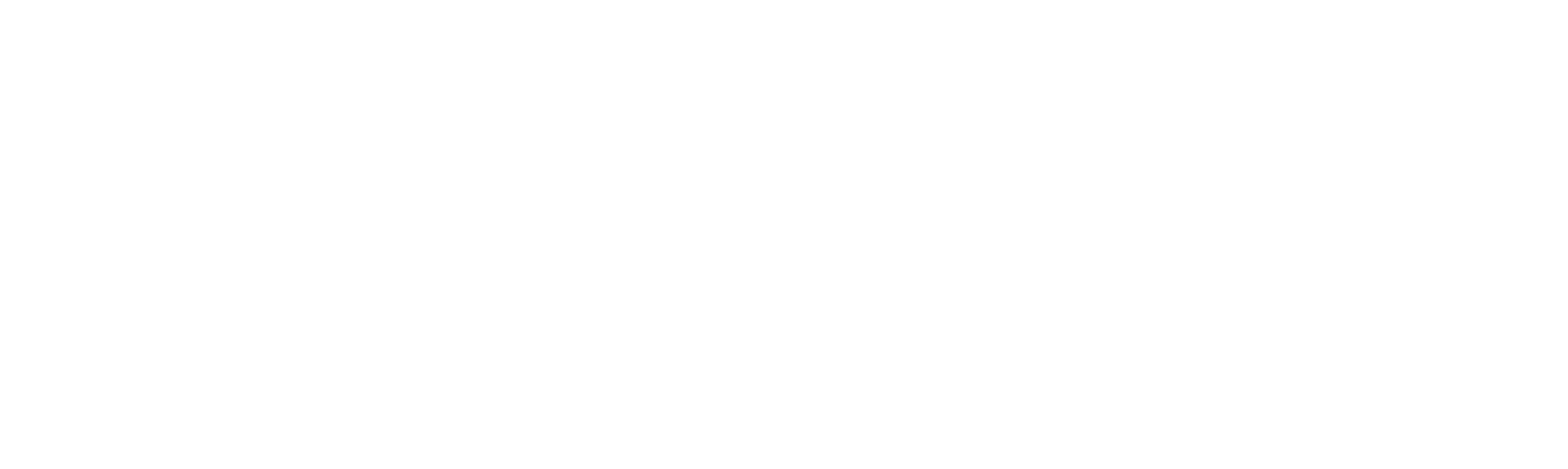 Francisco Javier Neira Logo